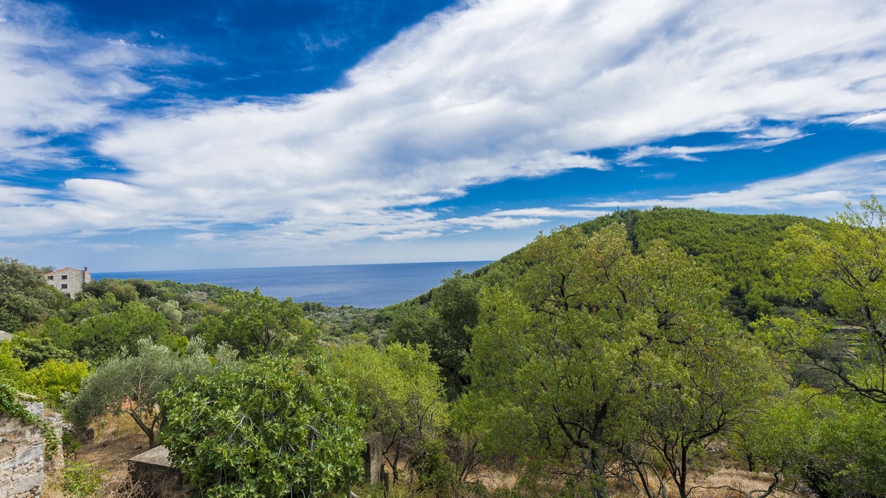 Photo of Others in Mljet