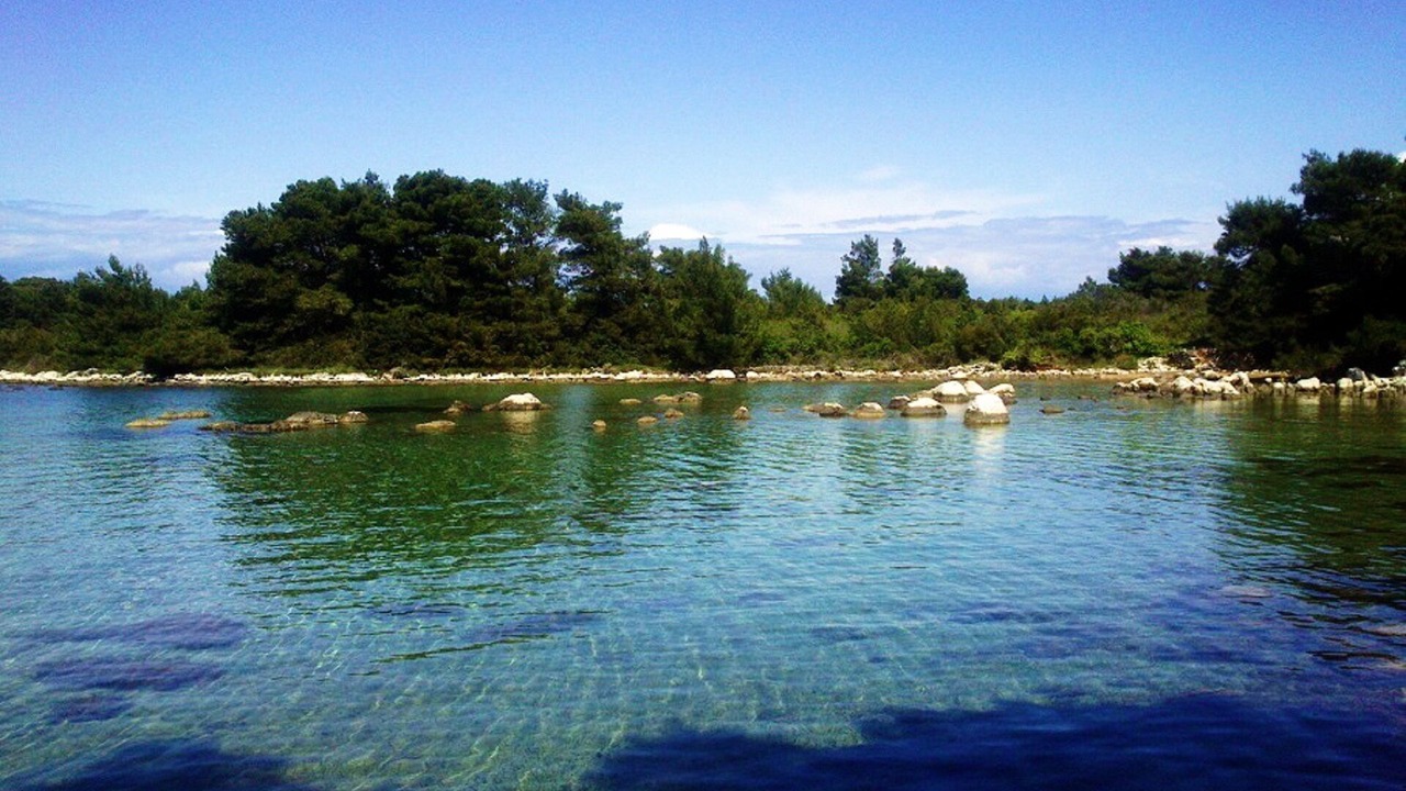 Photo of Outdoor in Molat