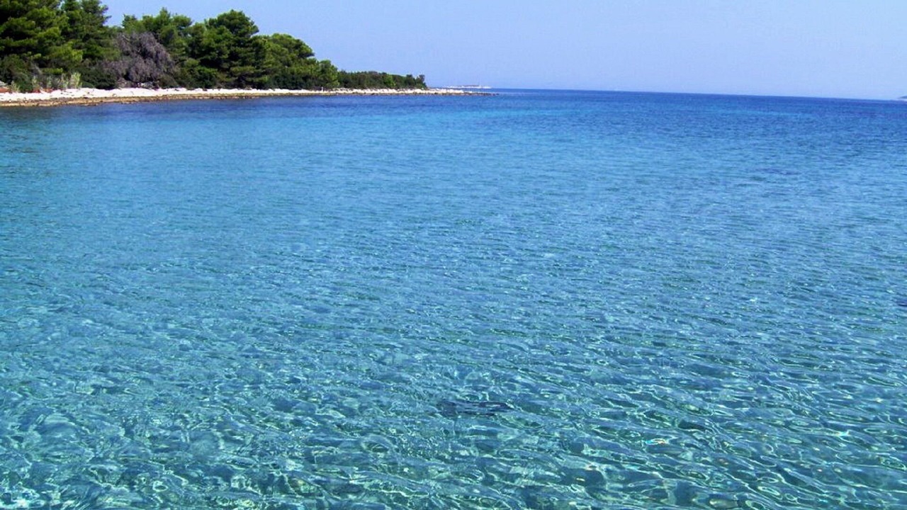 Photo of Others in Molat