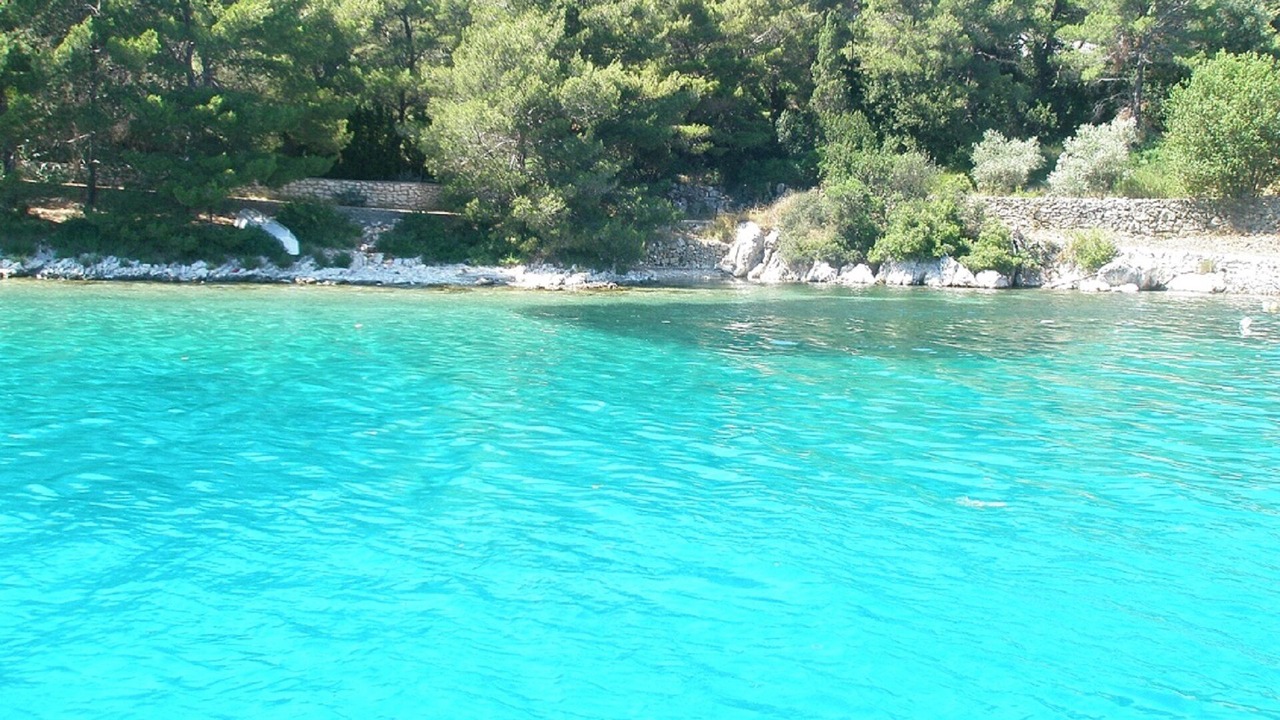 Photo of Outdoor in Molat