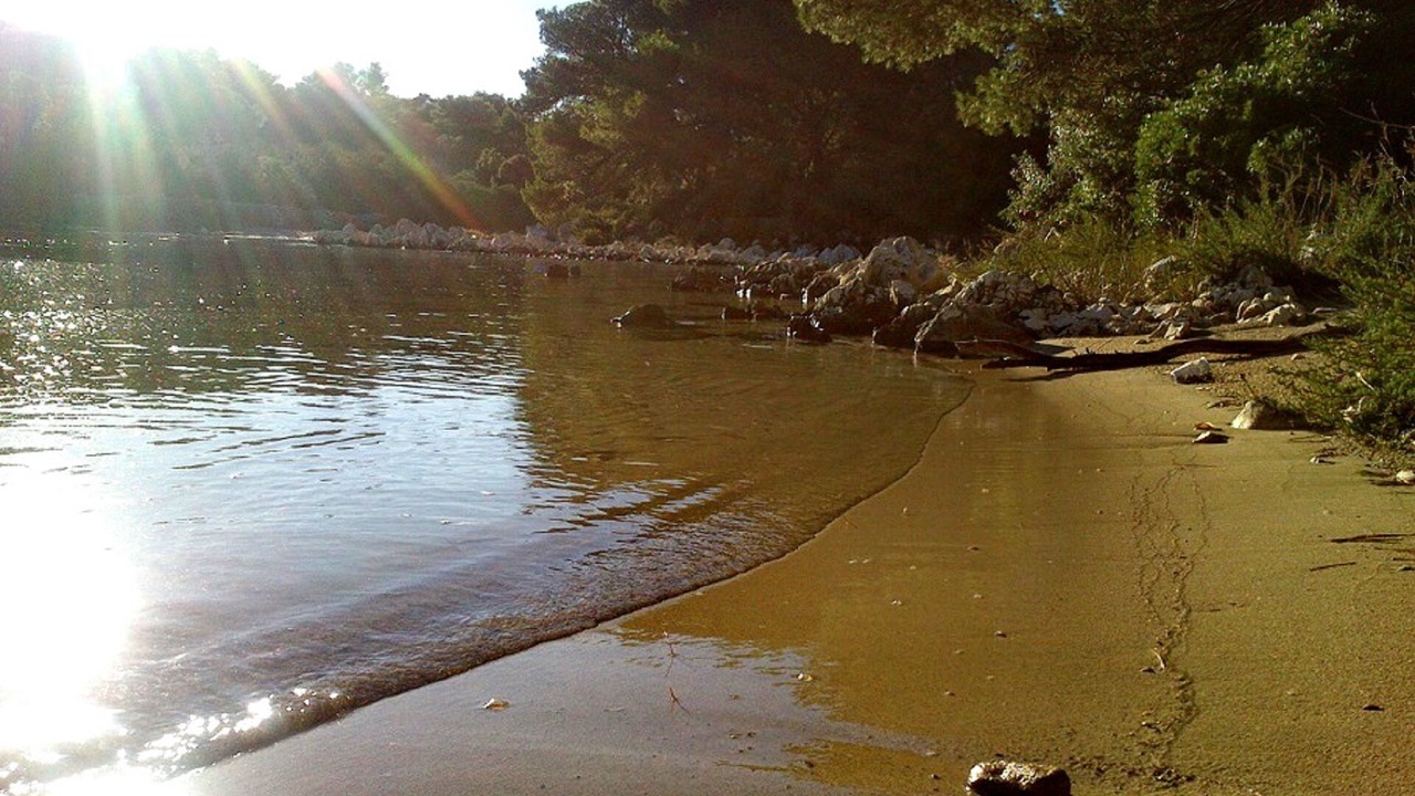 Photo of Others in Molat