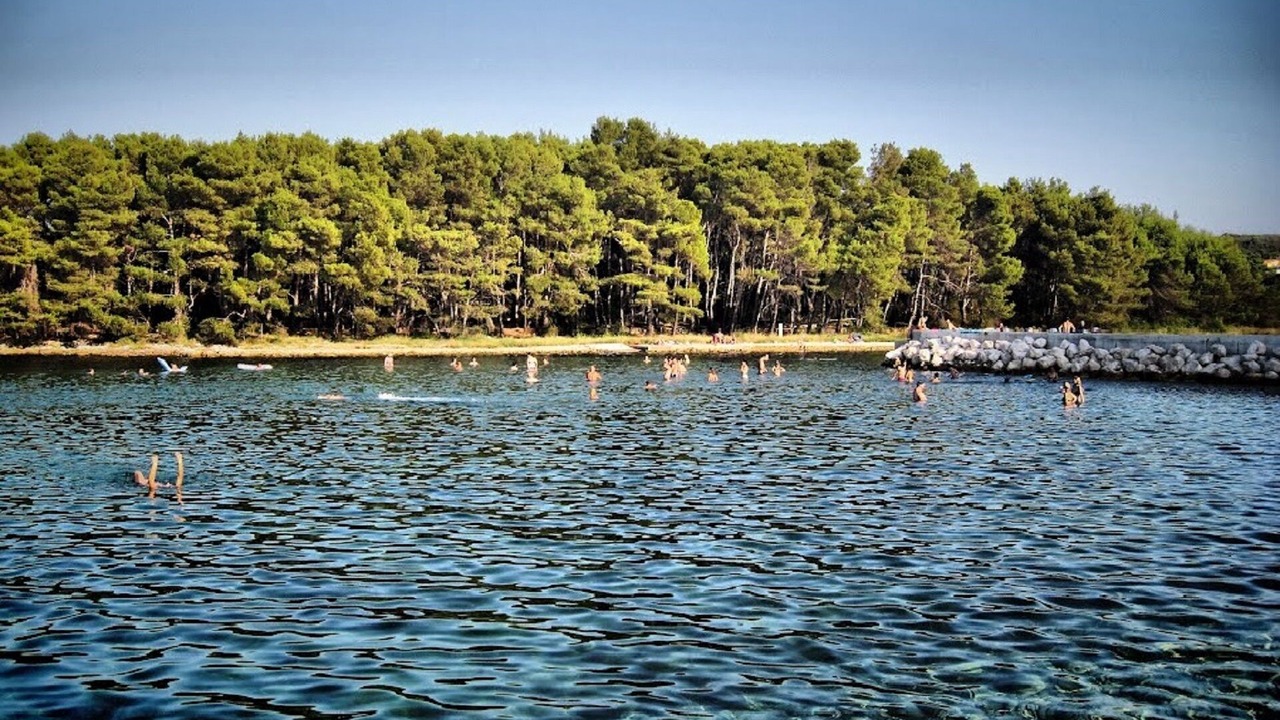 Photo of Others in Molat