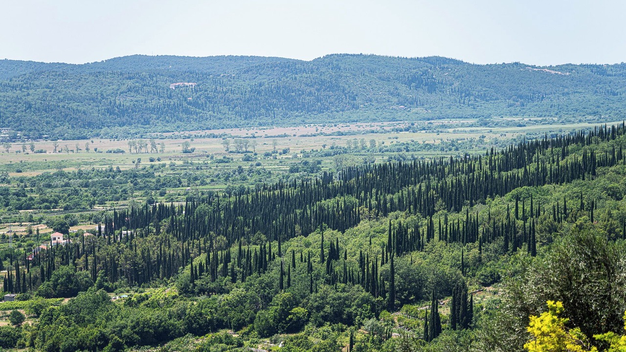 Photo of Others in Ljuta
