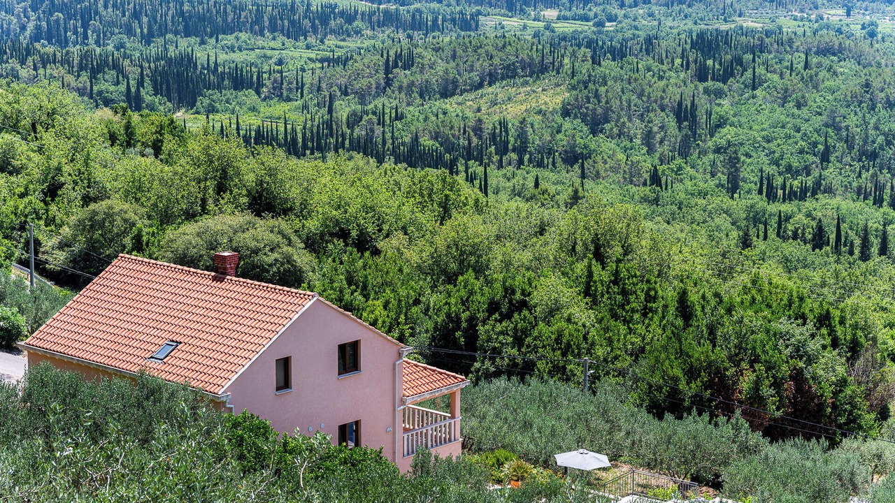 Photo of Outdoor in Ljuta