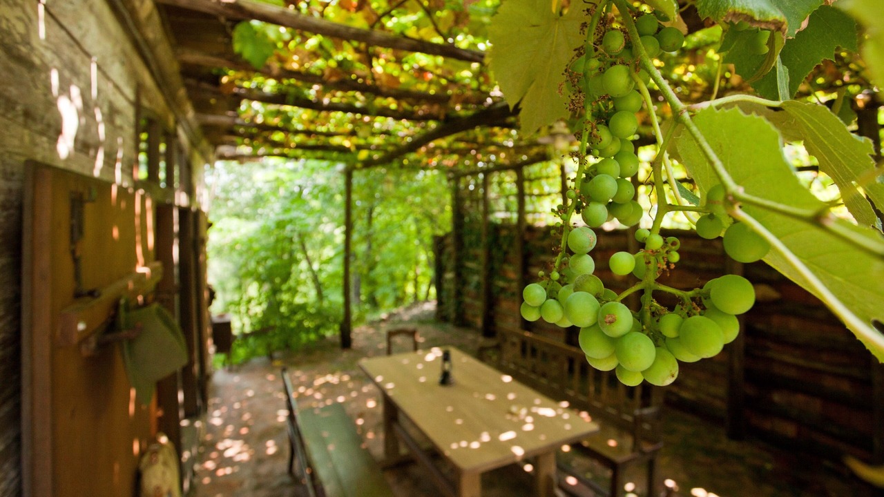 Photo of Outdoor in Gornja Stubica