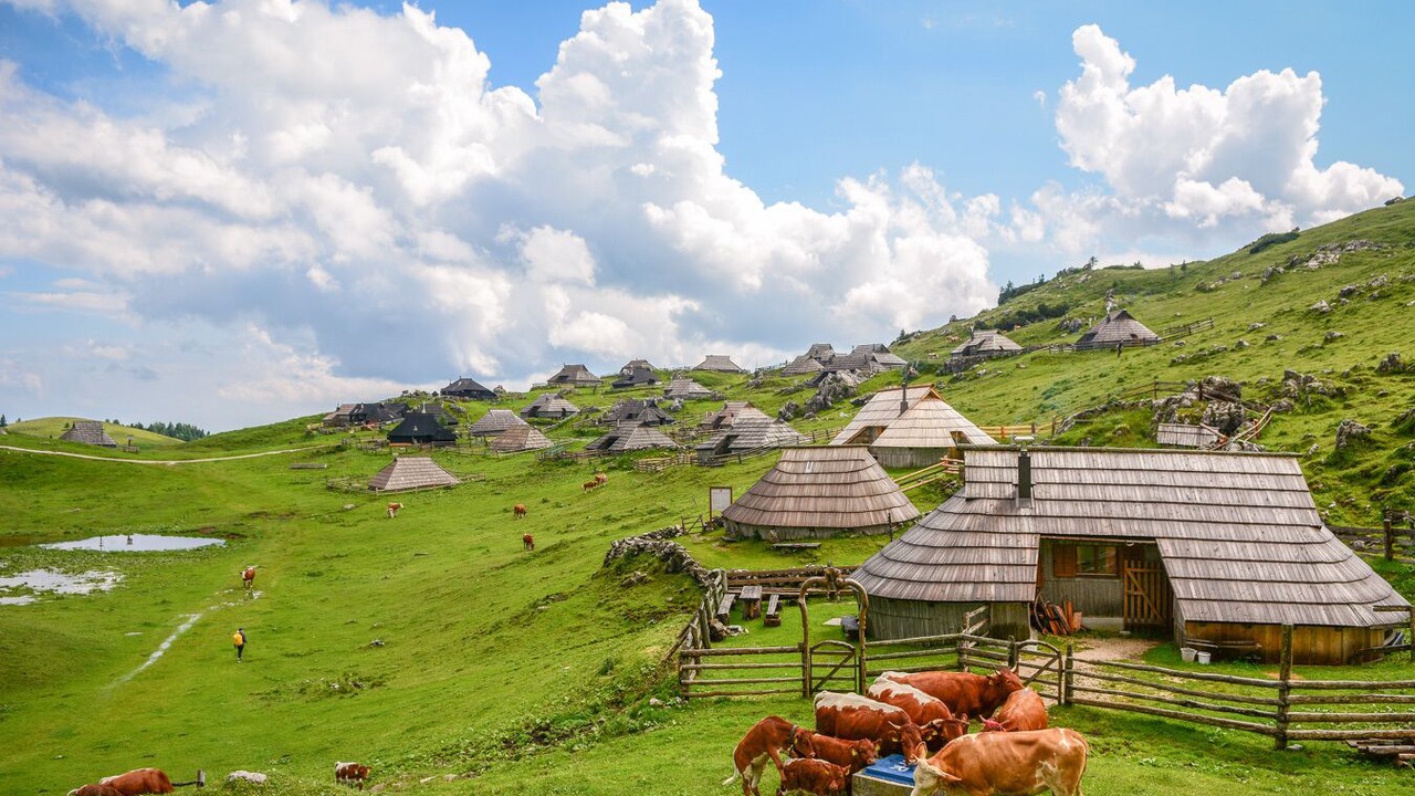 Photo of Outdoor in Senturska Gora