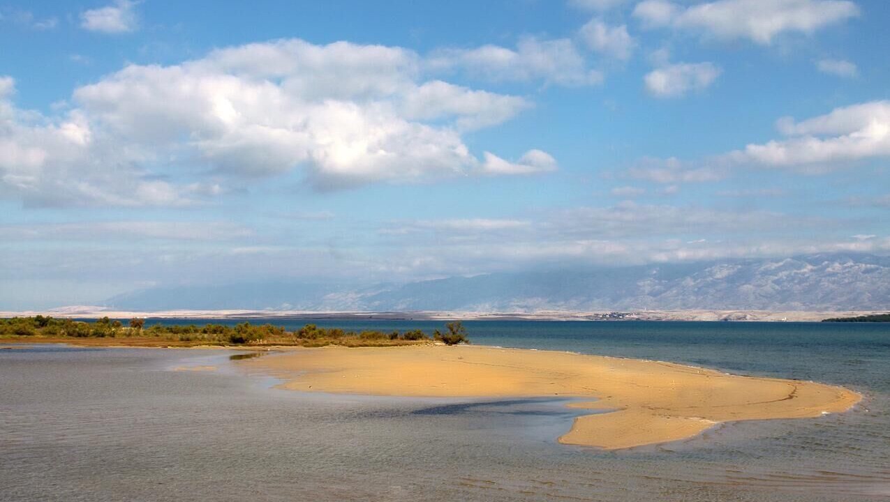 Photo of Others in Nin