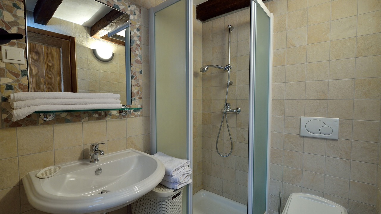 Photo of Bathroom in Buzet