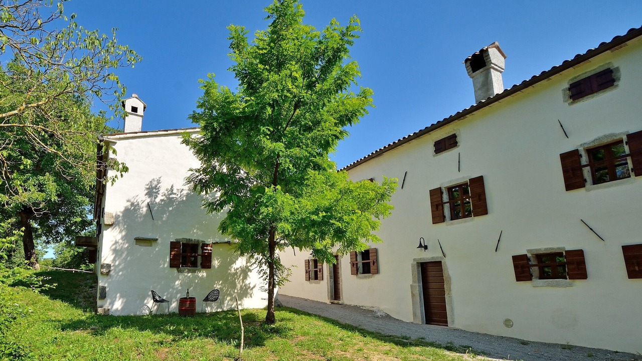 Photo of Outdoor in Buzet