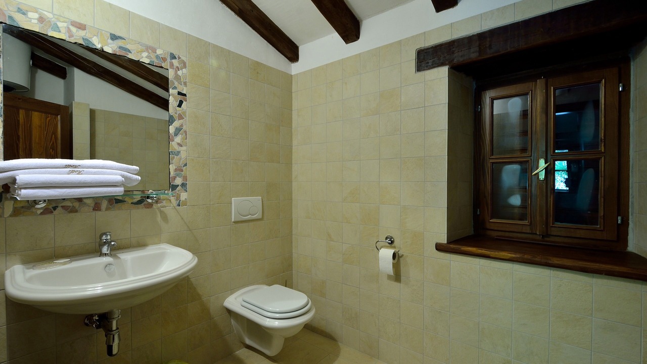 Photo of Bathroom in Buzet