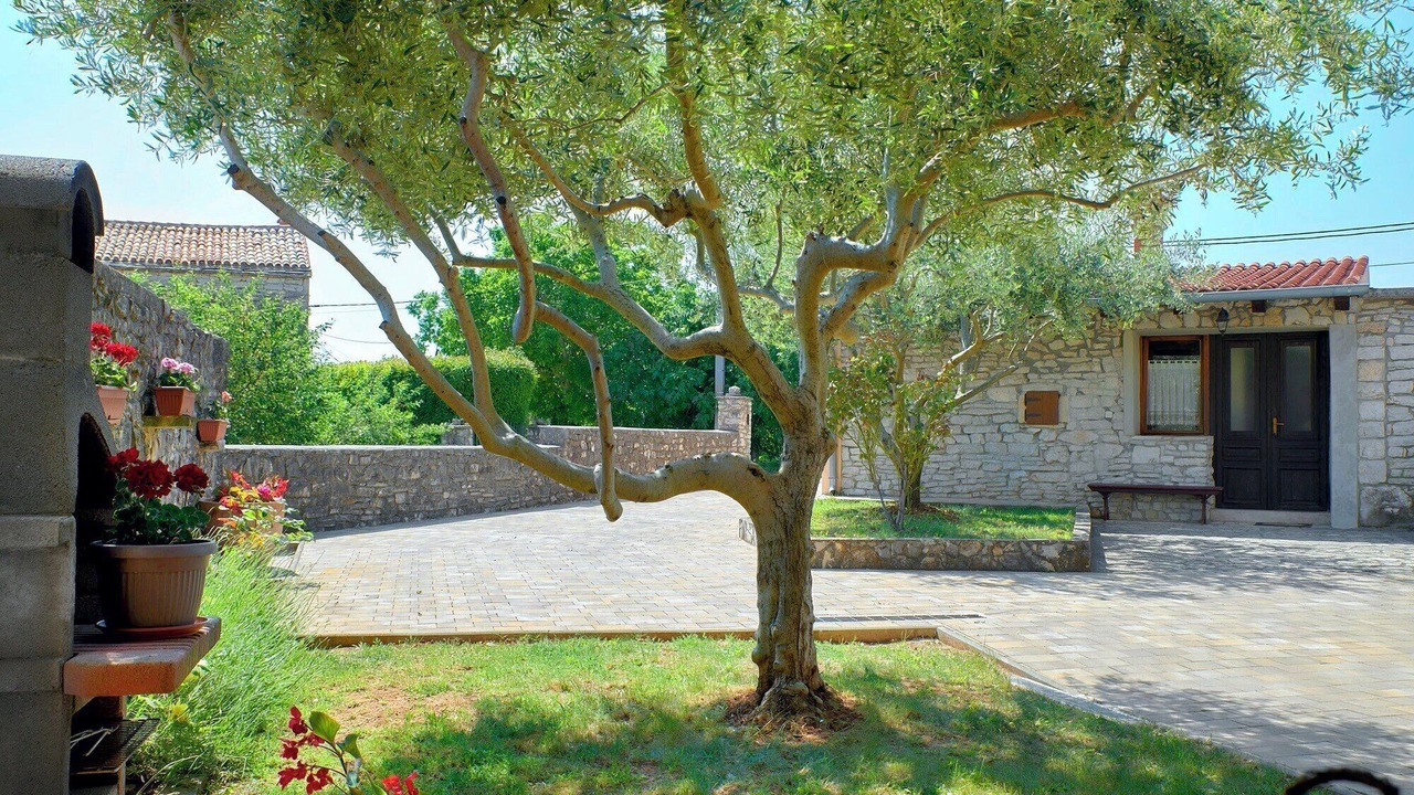 Photo of Patio Balcony in Orihi
