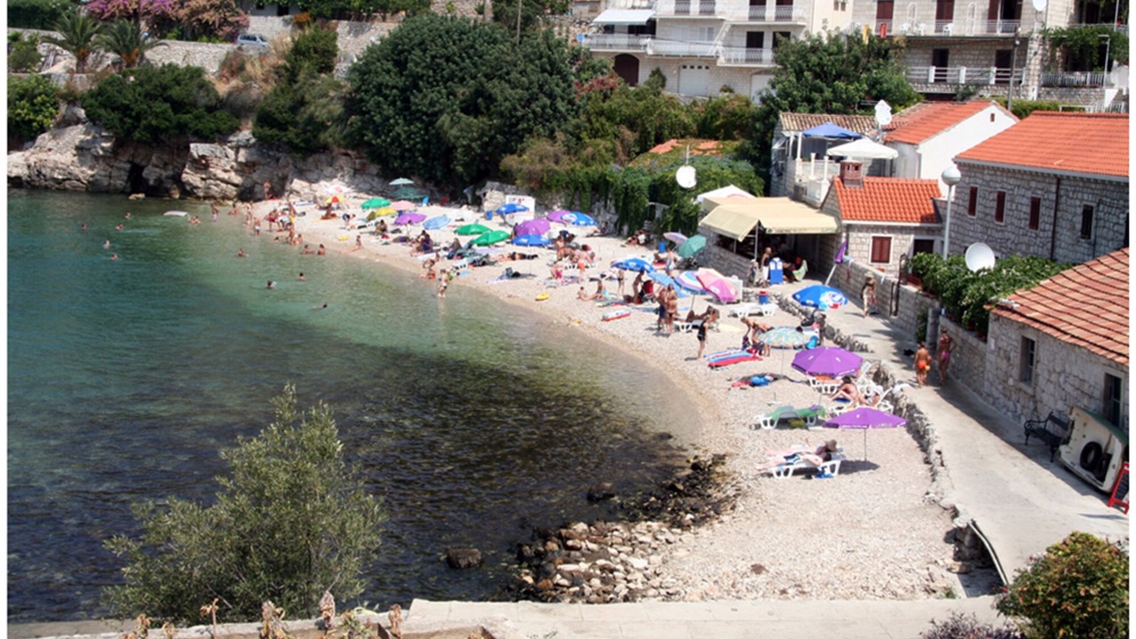 Photo of Others in Zaton
