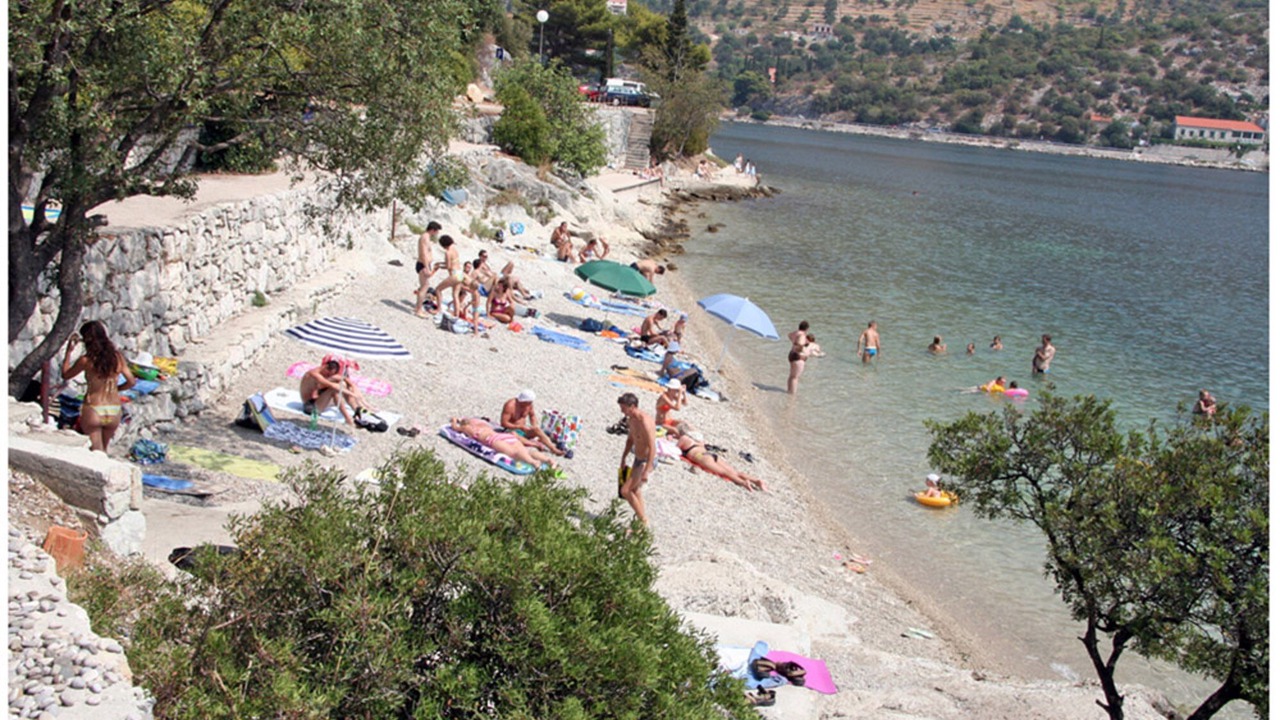 Photo of Others in Zaton