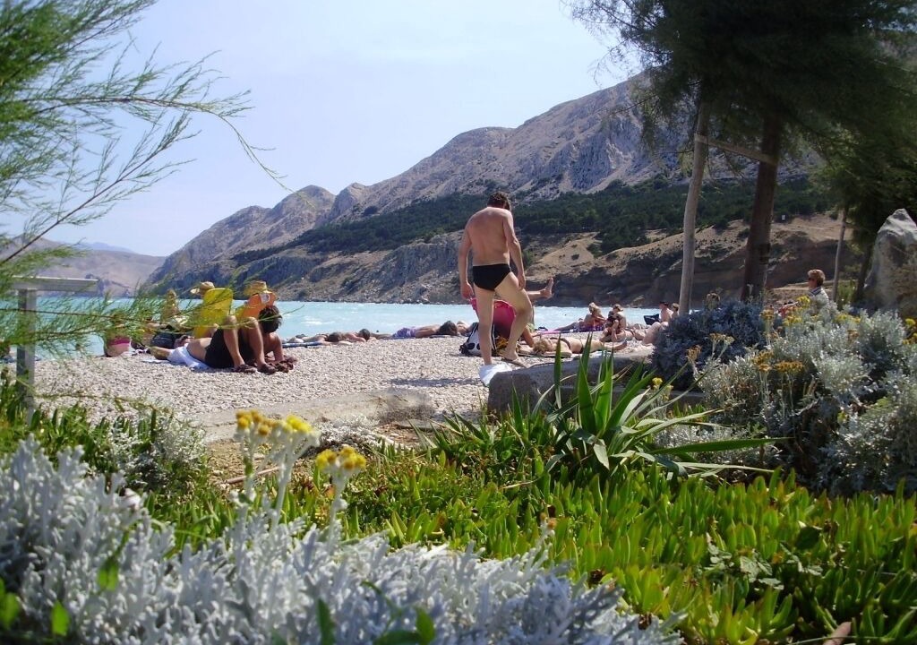 Photo of Others in Baska