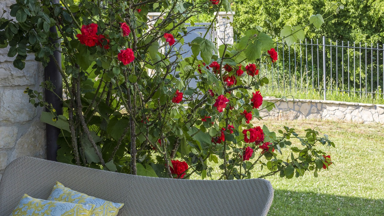 Photo of Outdoor in Buzet