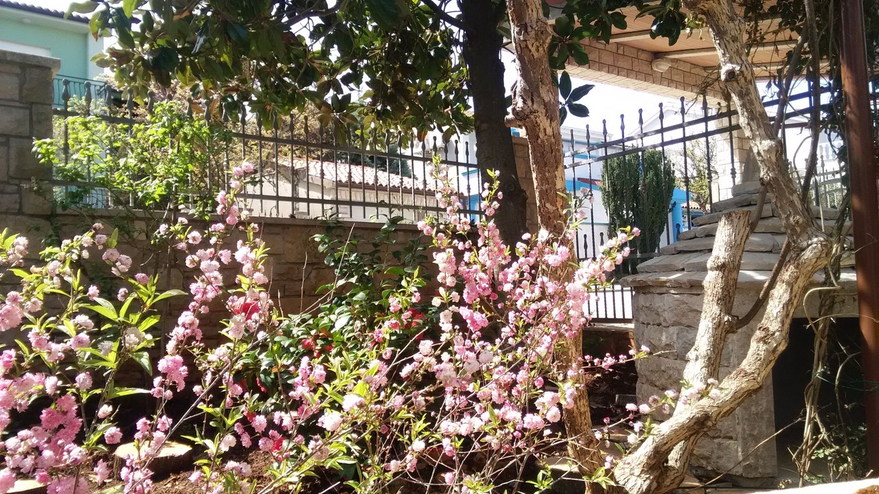 Photo of Outdoor in Banjole