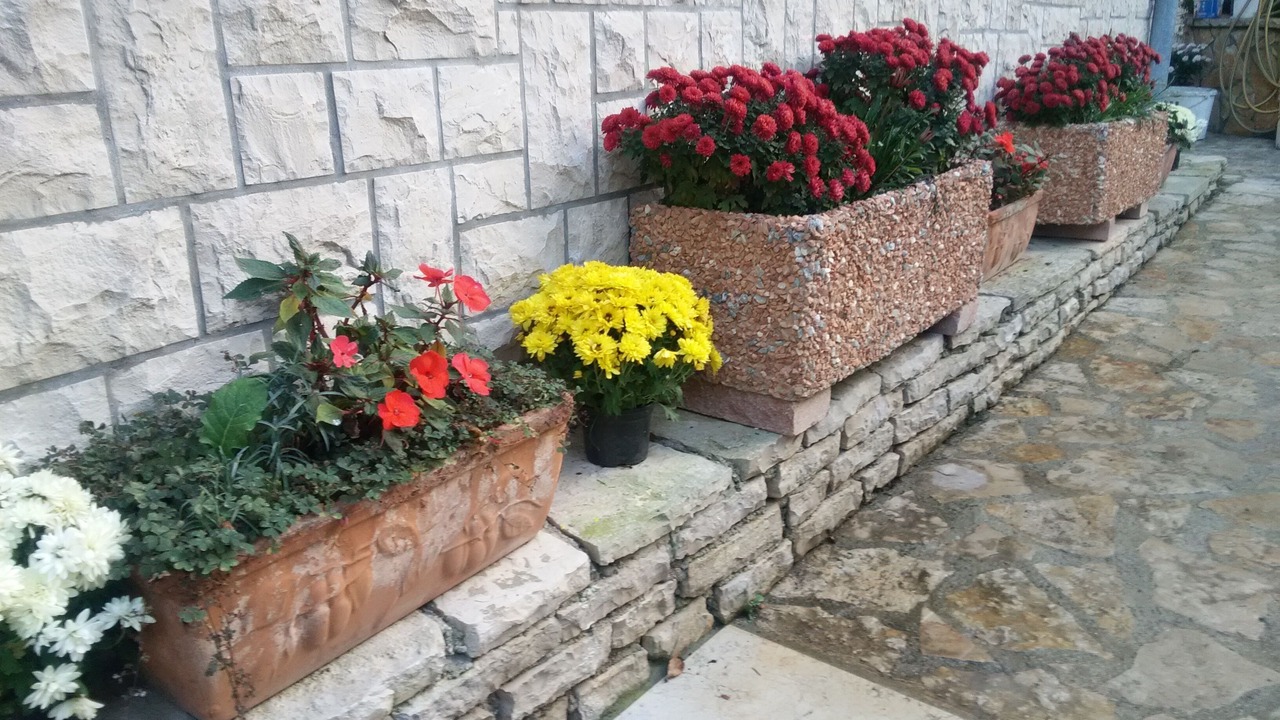 Photo of Outdoor in Banjole