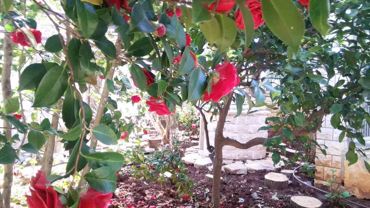 Photo of Outdoor in Banjole