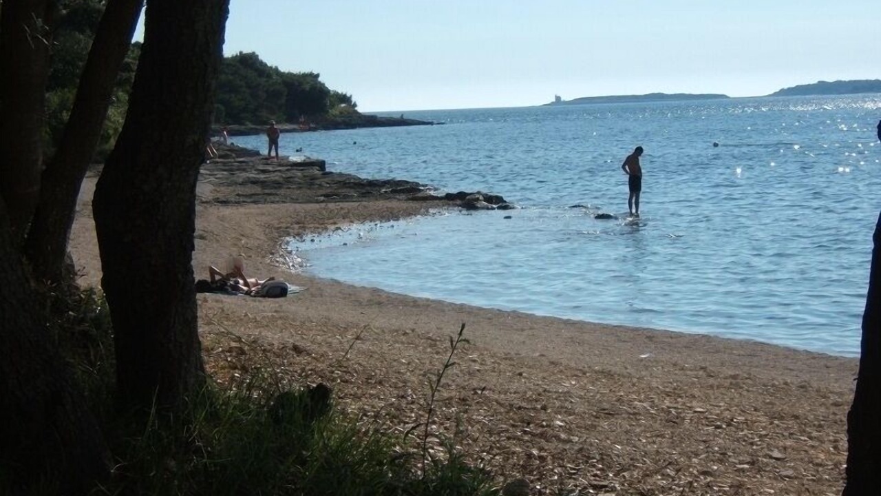 Photo of Others in Stinjan