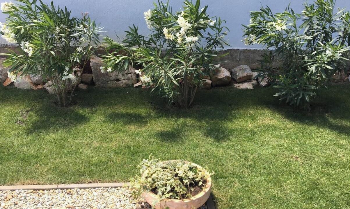 Photo of Outdoor in Rovinjsko Selo