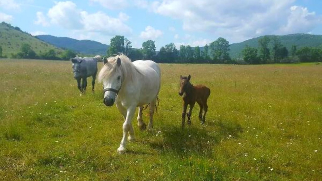 Photo of Outdoor in Vrhovine
