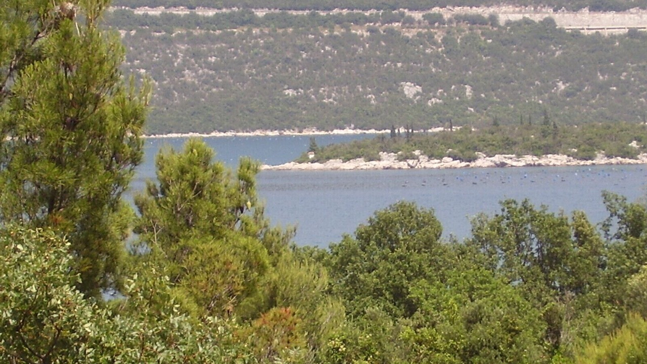 Photo of Others in Ston