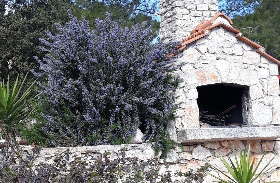 Photo of Outdoor in Cove Basina (Jelsa)