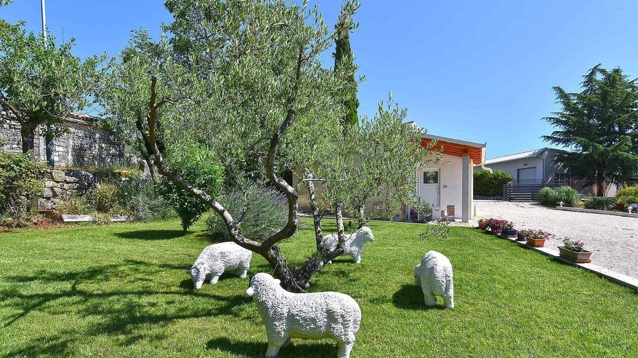 Photo of Outdoor in Zminj