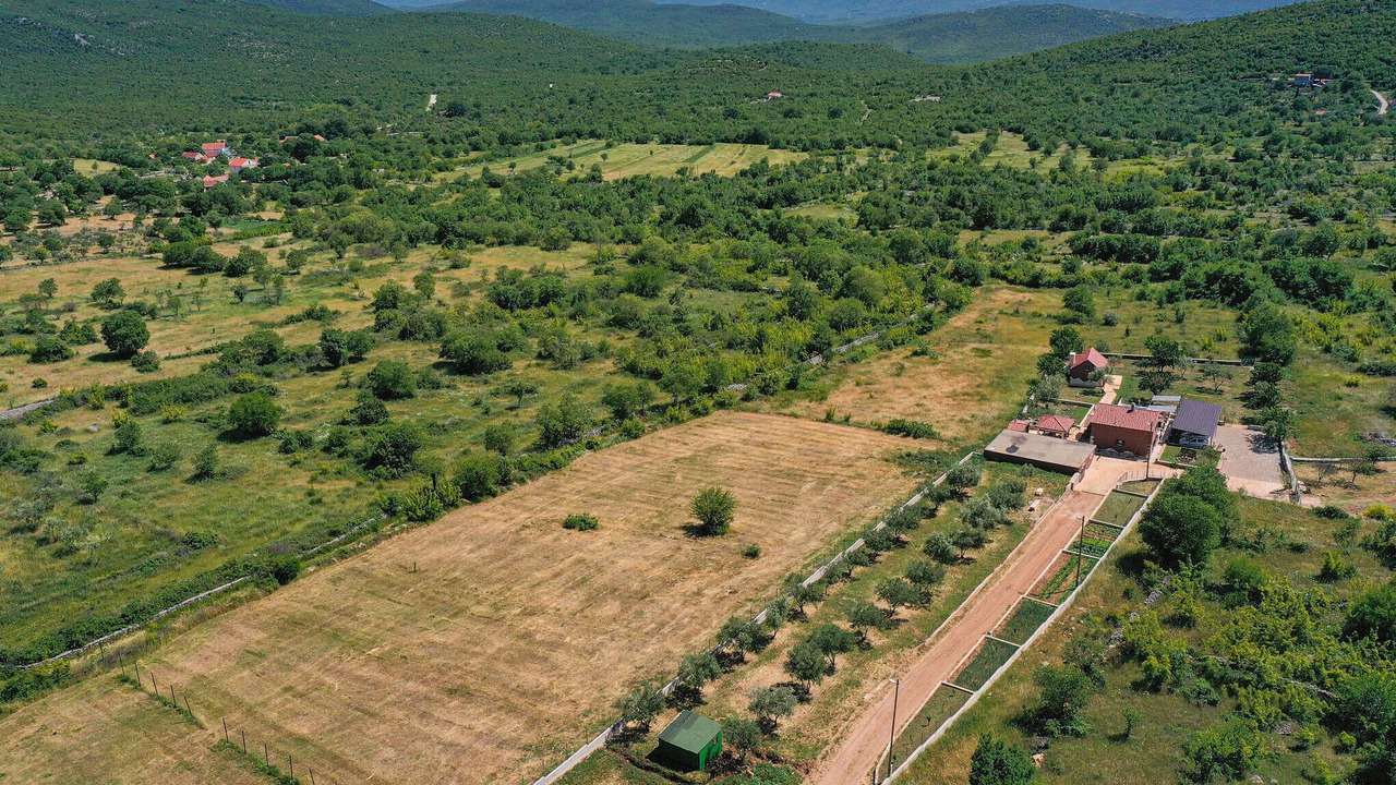 Photo of Others in Lecevica