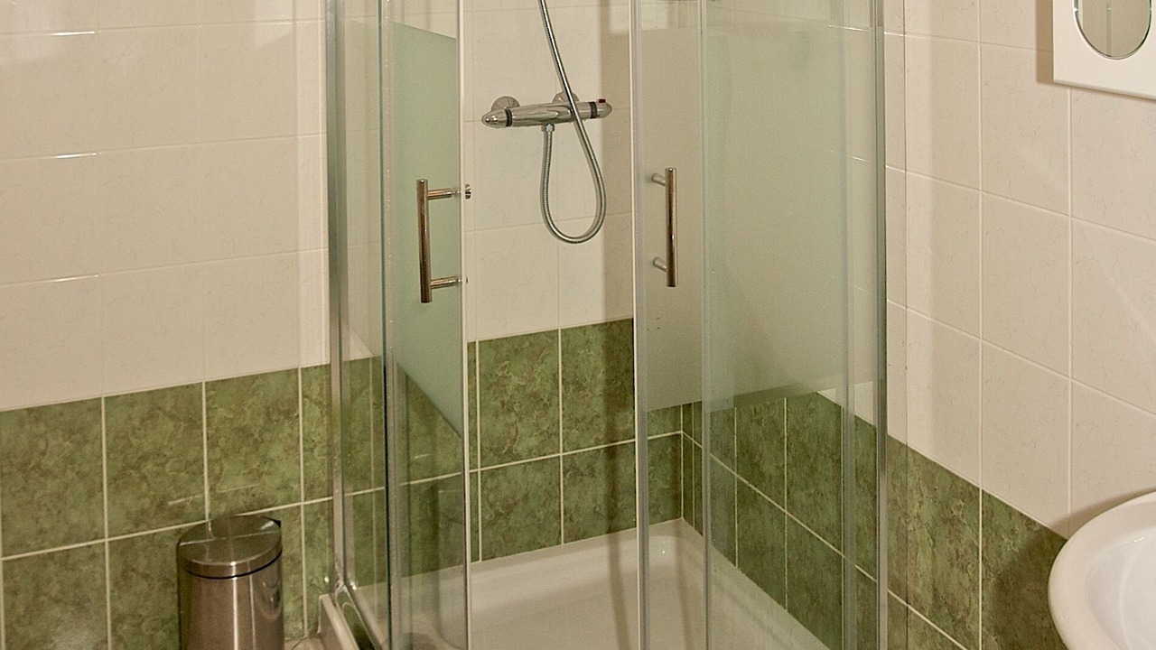 Photo of Bathroom in Buzet