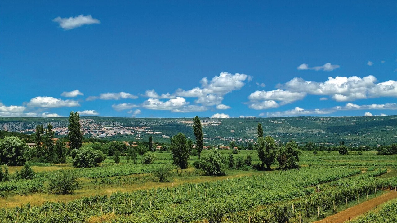 Photo of Others in Slivno