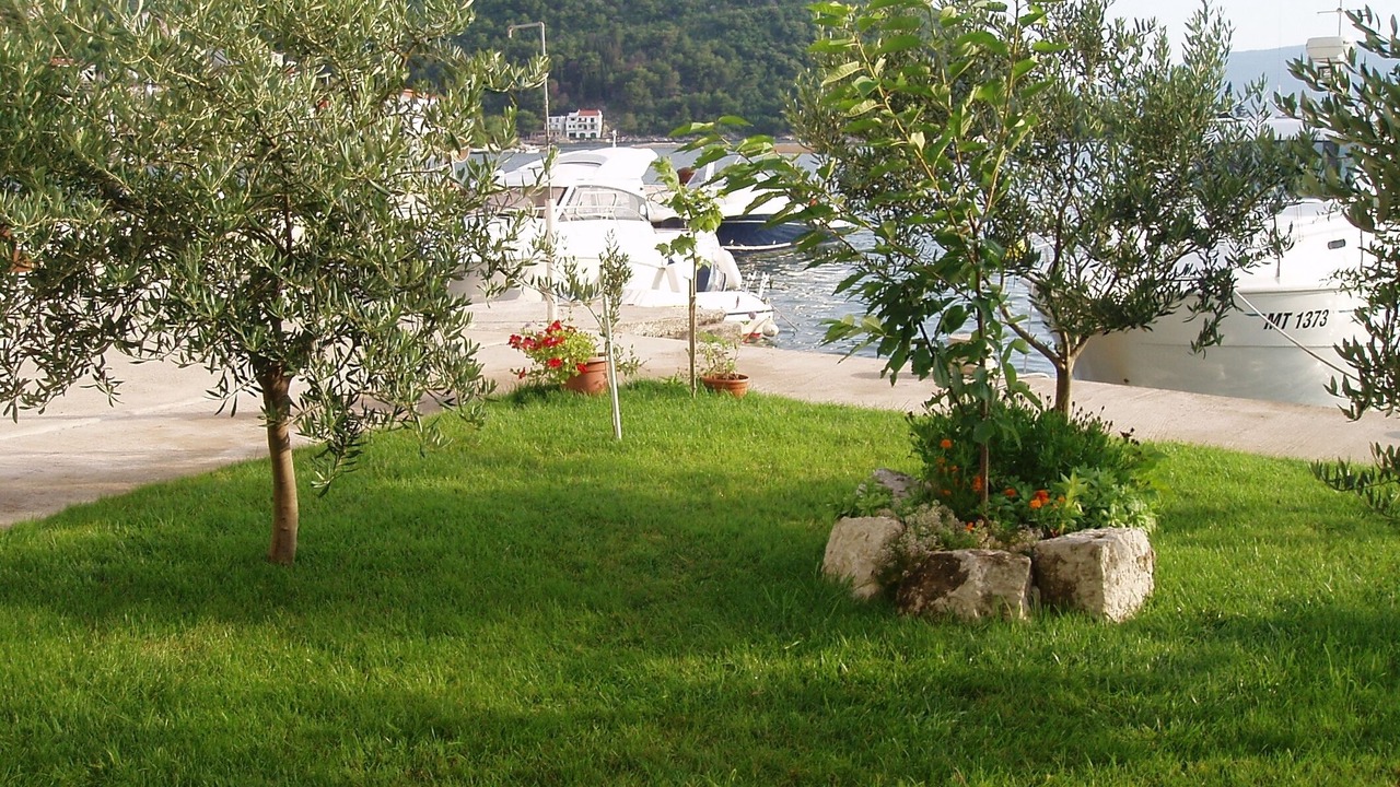 Photo of Outdoor in Blace