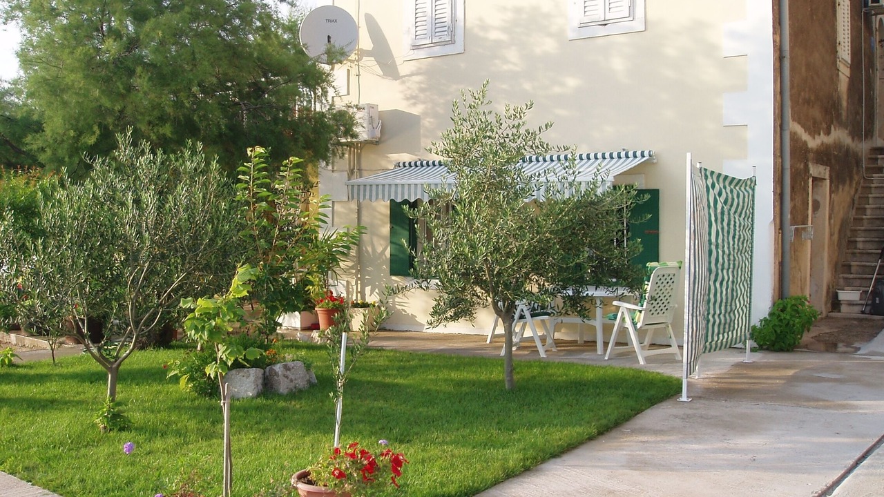 Photo of Outdoor in Blace