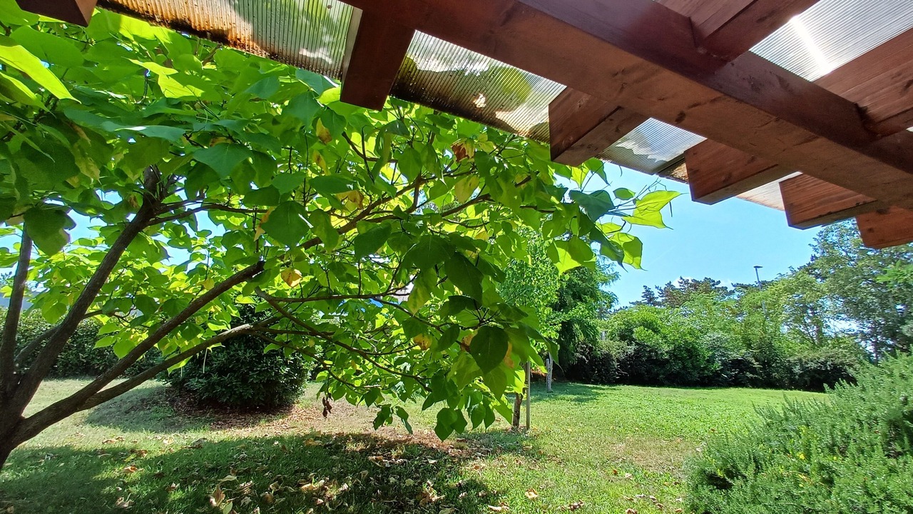 Photo of Outdoor in Buje