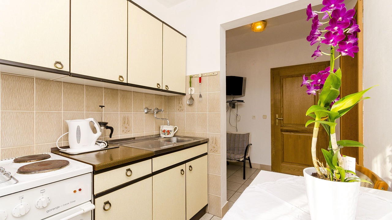 Photo of Kitchen in Razanj