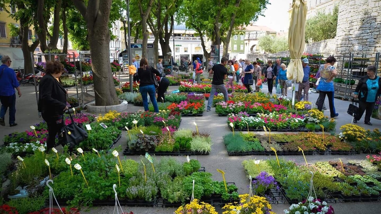 Photo of Outdoor in Pula