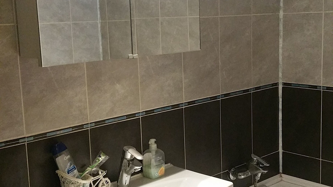 Photo of Bathroom in Pantelimon