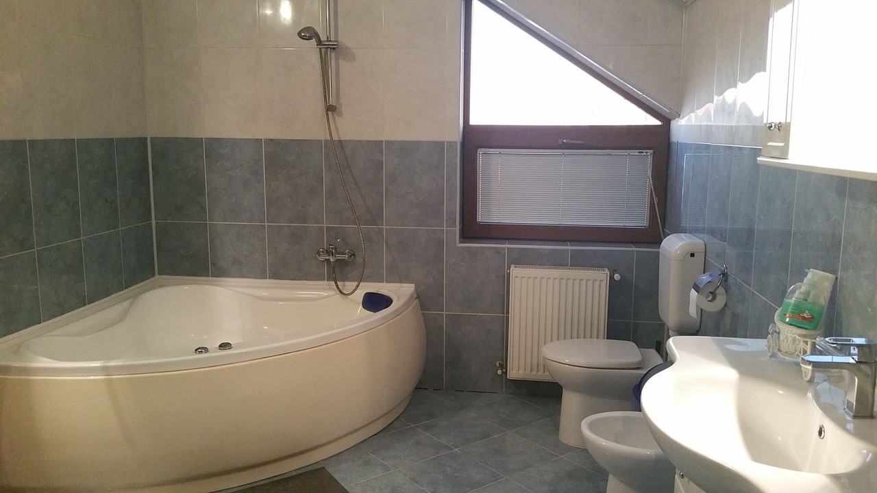 Photo of Bathroom in Pantelimon