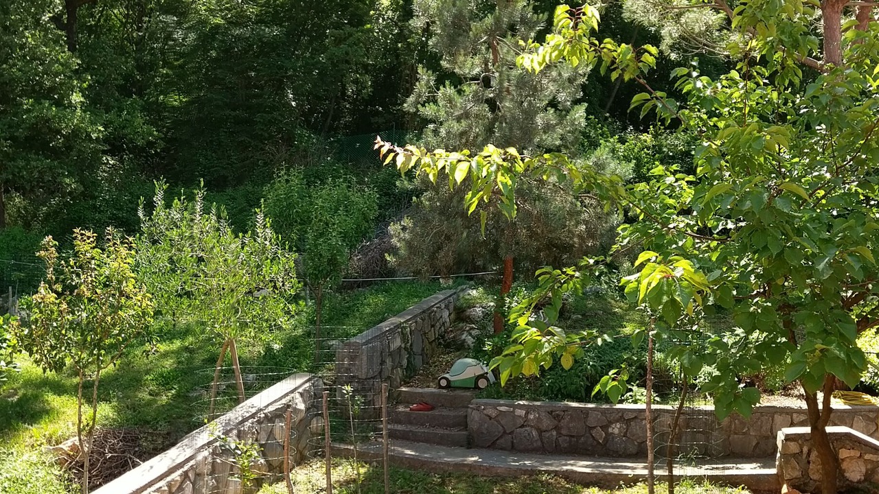 Photo of Outdoor in Porozina