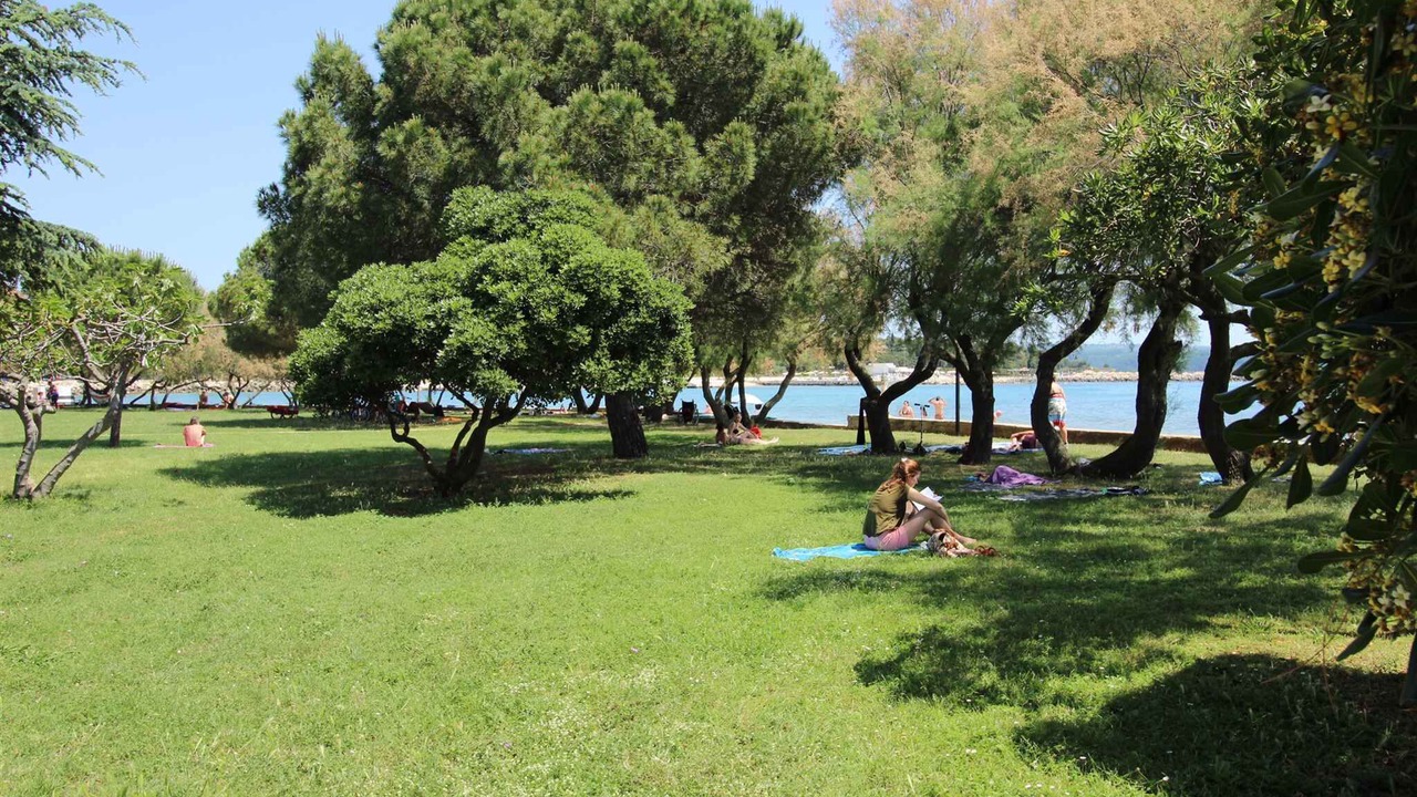 Photo of Others in Novigrad