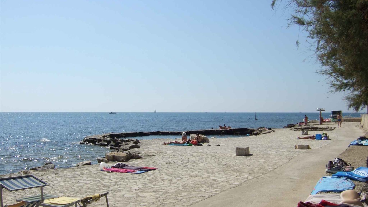 Photo of Others in Novigrad