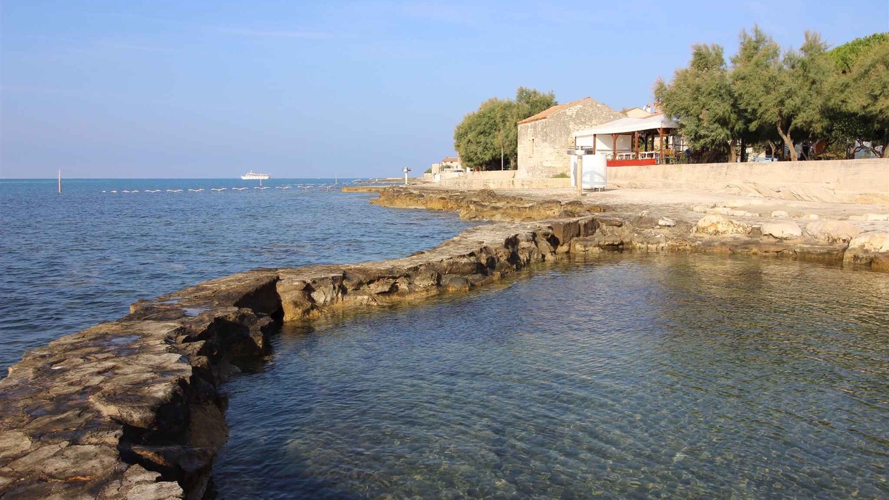 Photo of Others in Novigrad