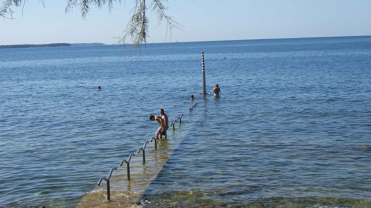 Photo of Others in Novigrad