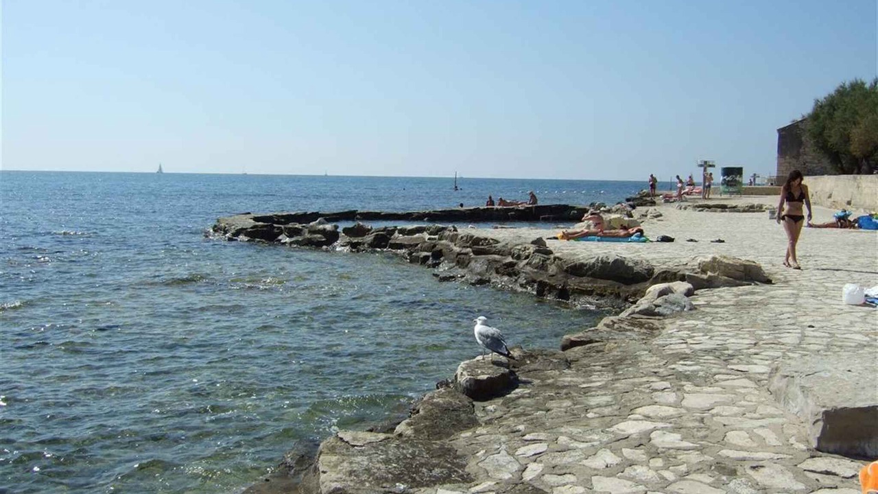 Photo of Others in Novigrad