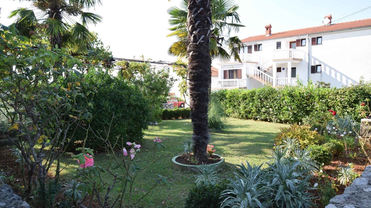 Photo of Outdoor in Njivice