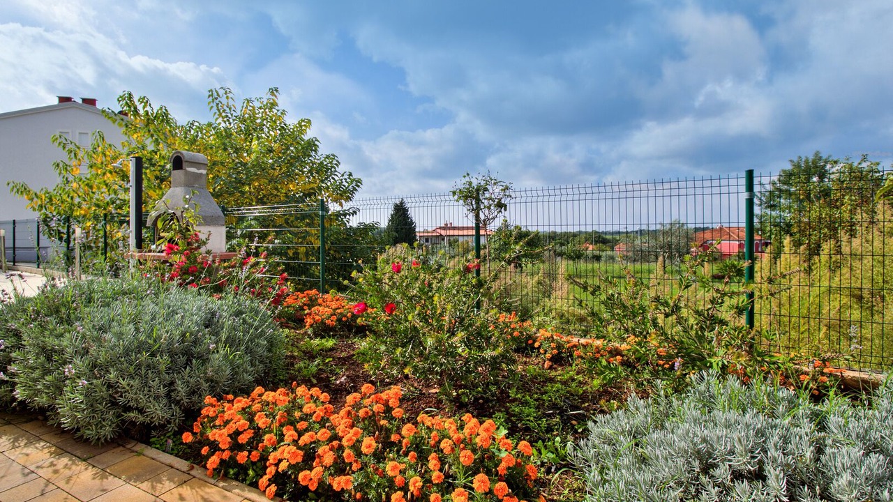 Photo of Outdoor in Plovanija