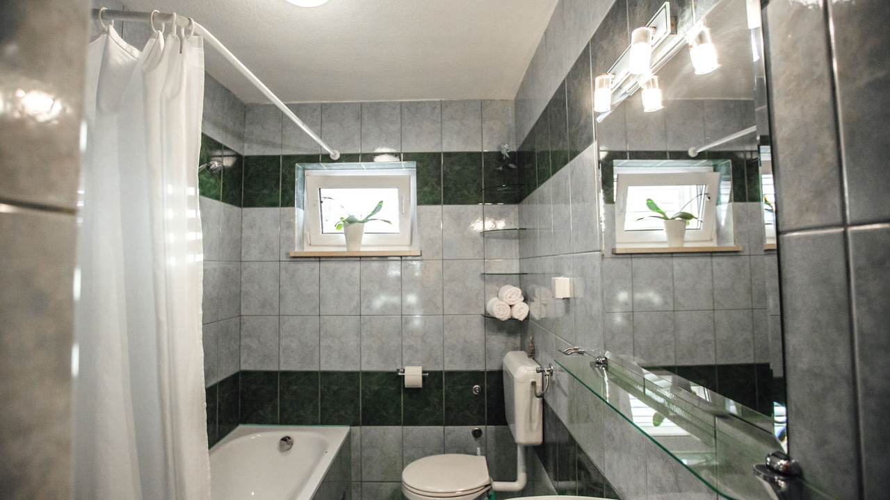 Photo of Bathroom in Donji Prolozac
