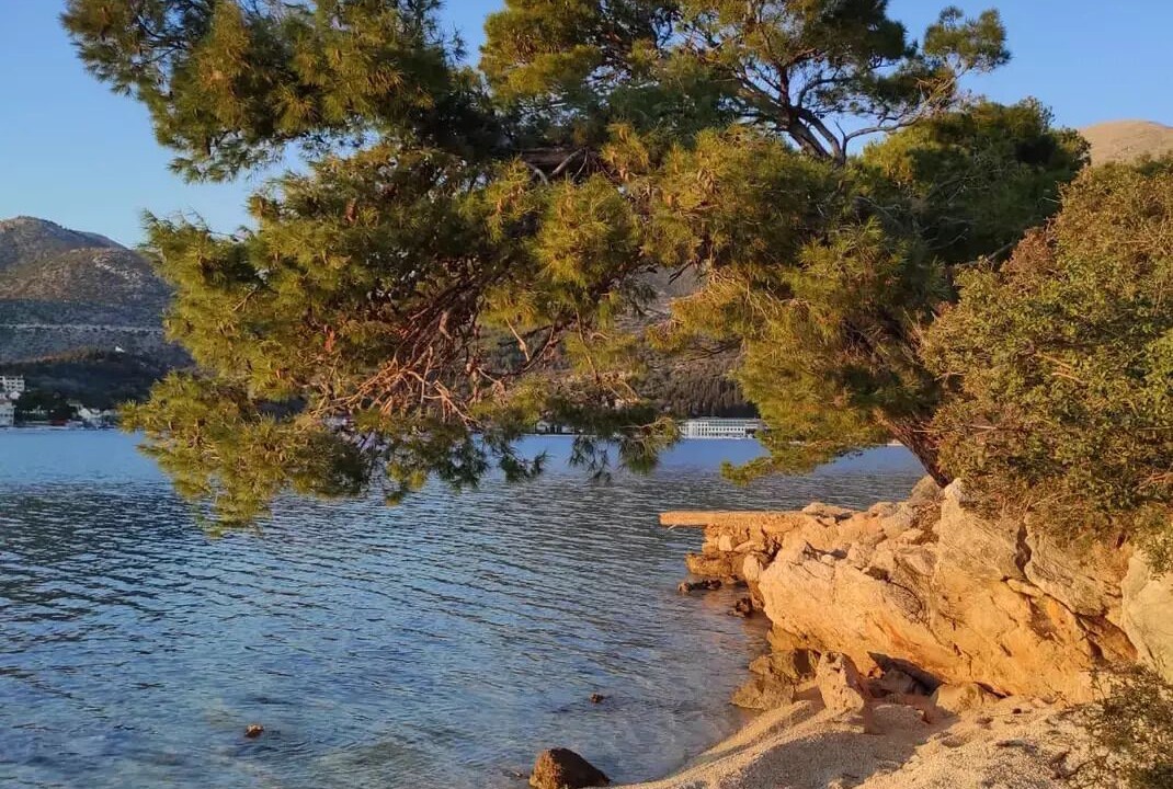 Photo of Others in Oslje