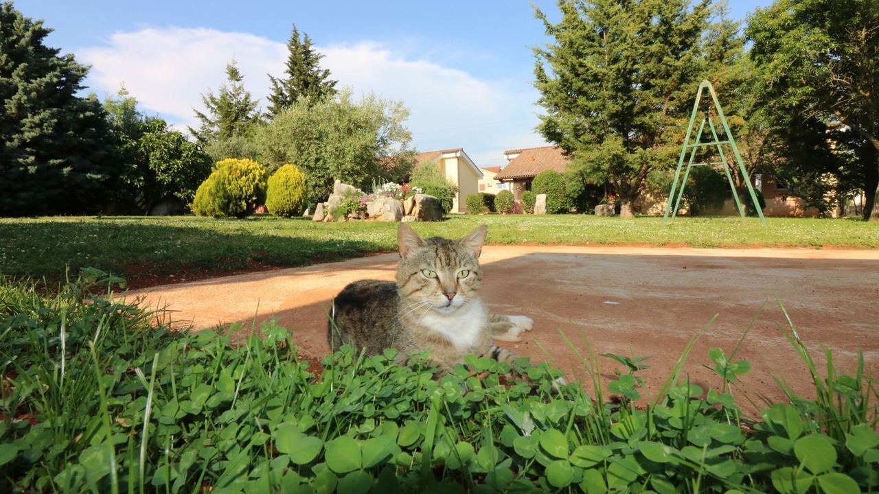Photo of Outdoor in Vrvari