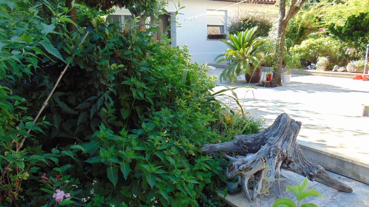 Photo of Outdoor in Rovinj